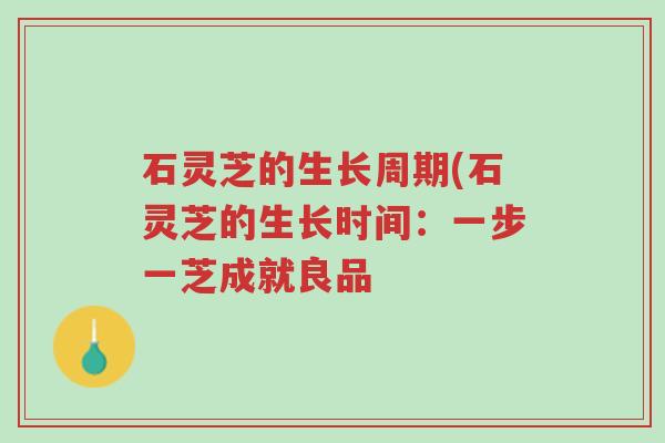石灵芝的生长周期(石灵芝的生长时间:一步一芝成就良品-第1张图片-超越 石灵芝的生长周期(石灵芝的生长时间:一步一芝成就良品-第1张图片-超越