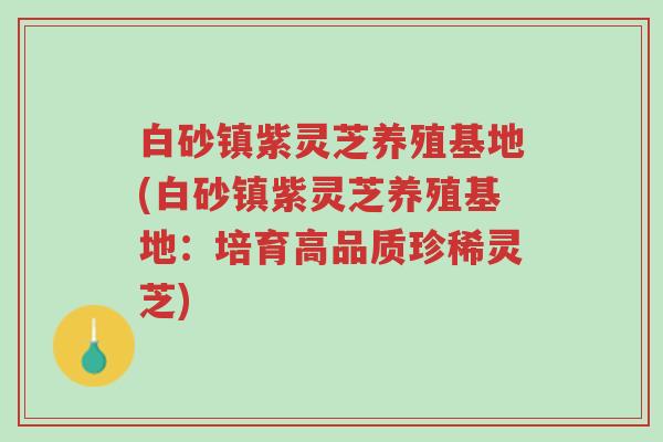 白砂镇紫灵芝养殖基地(白砂镇紫灵芝养殖基地：培育高品质珍稀灵芝)-第1张图片-超越
