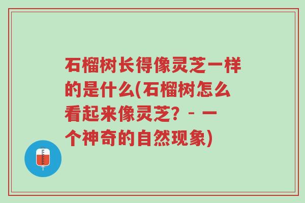 石榴树长得像灵芝一样的是什么(石榴树怎么看起来像灵芝?- 一个神奇的自然现象)-第1张图片-超越 石榴树长得像灵芝一样的是什么(石榴树怎么看起来像灵芝?- 一个神奇的自然现象)-第1张图片-超越