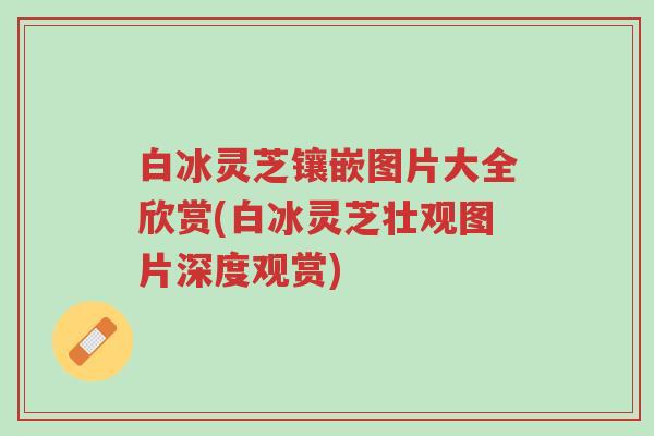 白冰灵芝镶嵌图片大全欣赏(白冰灵芝壮观图片深度观赏)-第1张图片-超越