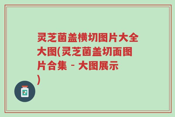 灵芝菌盖横切图片大全大图(灵芝菌盖切面图片合集 - 大图展示)-第1张图片-超越 灵芝菌盖横切图片大全大图(灵芝菌盖切面图片合集 - 大图展示)-第1张图片-超越