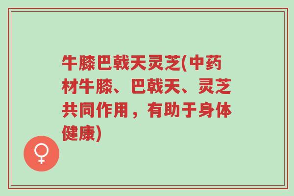 牛膝巴戟天灵芝(中药材牛膝、巴戟天、灵芝共同作用，有助于身体健康)-第1张图片-超越