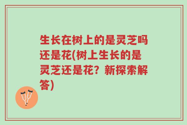 生长在树上的是灵芝吗还是花(树上生长的是灵芝还是花?新探索解答)-第1张图片-超越 生长在树上的是灵芝吗还是花(树上生长的是灵芝还是花?新探索解答)-第1张图片-超越
