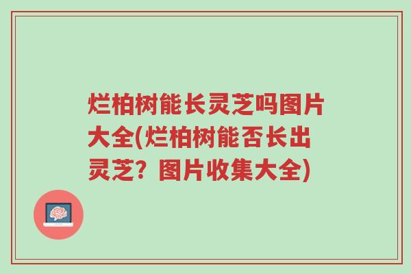 烂柏树能长灵芝吗图片大全(烂柏树能否长出灵芝?图片收集大全)-第1张图片-超越 烂柏树能长灵芝吗图片大全(烂柏树能否长出灵芝?图片收集大全)-第1张图片-超越