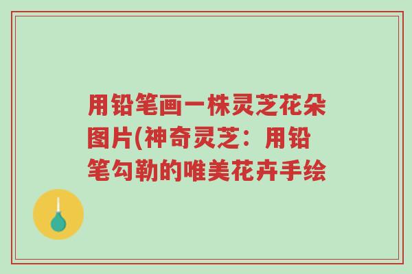 用铅笔画一株灵芝花朵图片(神奇灵芝:用铅笔勾勒的唯美花卉手绘-第1张图片-超越 用铅笔画一株灵芝花朵图片(神奇灵芝:用铅笔勾勒的唯美花卉手绘-第1张图片-超越