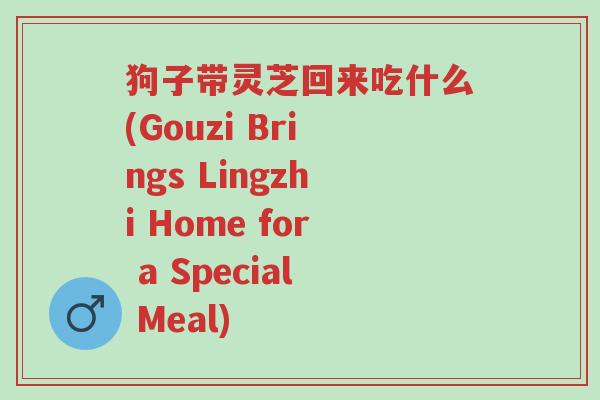 狗子带灵芝回来吃什么(Gouzi Brings Lingzhi Home for a Special Meal)-第1张图片-超越 狗子带灵芝回来吃什么(Gouzi Brings Lingzhi Home for a Special Meal)-第1张图片-超越