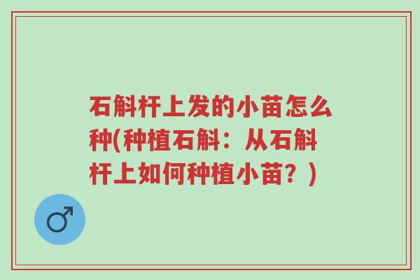石斛杆上发的小苗怎么种(种植石斛:从石斛杆上如何种植小苗?)-第1张图片-超越 石斛杆上发的小苗怎么种(种植石斛:从石斛杆上如何种植小苗?)-第1张图片-超越