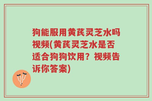 狗能服用黄芪灵芝水吗视频(黄芪灵芝水是否适合狗狗饮用?视频告诉你答案)-第1张图片-超越 狗能服用黄芪灵芝水吗视频(黄芪灵芝水是否适合狗狗饮用?视频告诉你答案)-第1张图片-超越