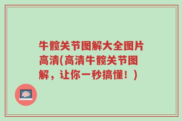 牛髋关节图解大全图片高清(高清牛髋关节图解,让你一秒搞懂!)-第1张图片-超越 牛髋关节图解大全图片高清(高清牛髋关节图解,让你一秒搞懂!)-第1张图片-超越
