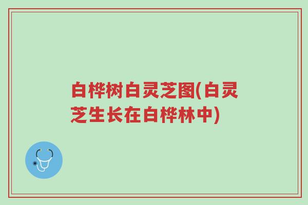 白桦树白灵芝图(白灵芝生长在白桦林中)-第1张图片-超越 白桦树白灵芝图(白灵芝生长在白桦林中)-第1张图片-超越