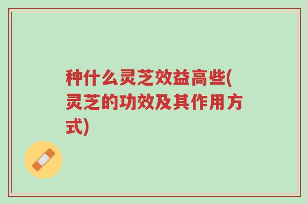种什么灵芝效益高些(灵芝的功效及其作用方式)-第1张图片-超越