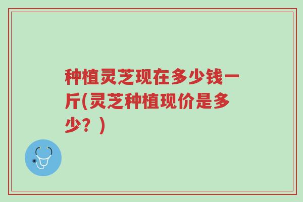 种植灵芝现在多少钱一斤(灵芝种植现价是多少?)-第1张图片-超越 种植灵芝现在多少钱一斤(灵芝种植现价是多少?)-第1张图片-超越