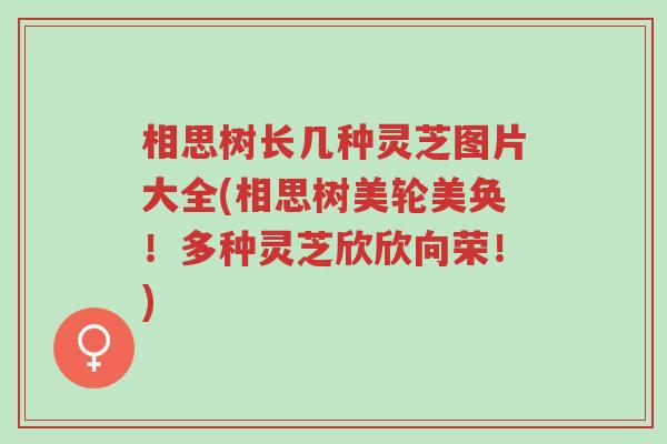 相思树长几种灵芝图片大全(相思树美轮美奂!多种灵芝欣欣向荣!)-第1张图片-超越 相思树长几种灵芝图片大全(相思树美轮美奂!多种灵芝欣欣向荣!)-第1张图片-超越