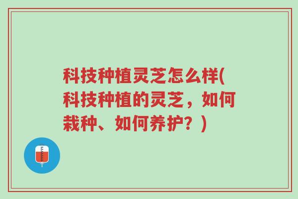 科技种植灵芝怎么样(科技种植的灵芝,如何栽种、如何养护?)-第1张图片-超越 科技种植灵芝怎么样(科技种植的灵芝,如何栽种、如何养护?)-第1张图片-超越