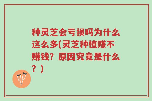 种灵芝会亏损吗为什么这么多(灵芝种植赚不赚钱?原因究竟是什么?)-第1张图片-超越 种灵芝会亏损吗为什么这么多(灵芝种植赚不赚钱?原因究竟是什么?)-第1张图片-超越