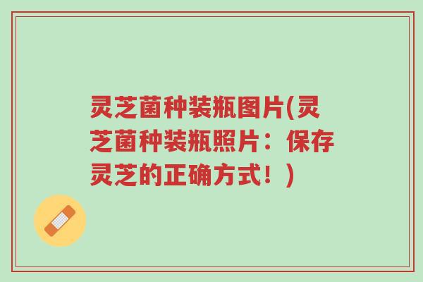 灵芝菌种装瓶图片(灵芝菌种装瓶照片:保存灵芝的正确方式!)-第1张图片-超越 灵芝菌种装瓶图片(灵芝菌种装瓶照片:保存灵芝的正确方式!)-第1张图片-超越