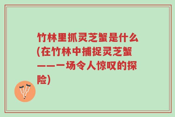 竹林里抓灵芝蟹是什么(在竹林中捕捉灵芝蟹——一场令人惊叹的探险)-第1张图片-超越 竹林里抓灵芝蟹是什么(在竹林中捕捉灵芝蟹——一场令人惊叹的探险)-第1张图片-超越