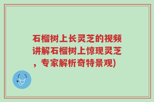 石榴树上长灵芝的视频讲解石榴树上惊现灵芝,专家解析奇特景观)-第1张图片-超越 石榴树上长灵芝的视频讲解石榴树上惊现灵芝,专家解析奇特景观)-第1张图片-超越