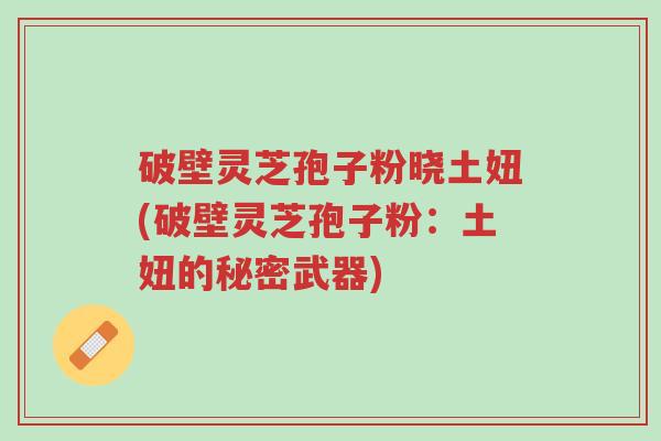 破壁灵芝孢子粉晓土妞(破壁灵芝孢子粉:土妞的秘密武器)-第1张图片-超越 破壁灵芝孢子粉晓土妞(破壁灵芝孢子粉:土妞的秘密武器)-第1张图片-超越