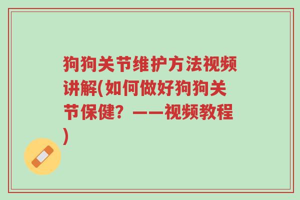 狗狗关节维护方法视频讲解(如何做好狗狗关节保健?——视频教程)-第1张图片-超越 狗狗关节维护方法视频讲解(如何做好狗狗关节保健?——视频教程)-第1张图片-超越