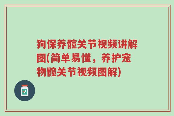 狗保养髋关节视频讲解图(简单易懂,养护宠物髋关节视频图解)-第1张图片-超越 狗保养髋关节视频讲解图(简单易懂,养护宠物髋关节视频图解)-第1张图片-超越