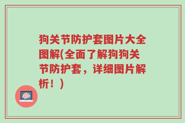狗关节防护套图片大全图解(全面了解狗狗关节防护套,详细图片解析!)-第1张图片-超越 狗关节防护套图片大全图解(全面了解狗狗关节防护套,详细图片解析!)-第1张图片-超越