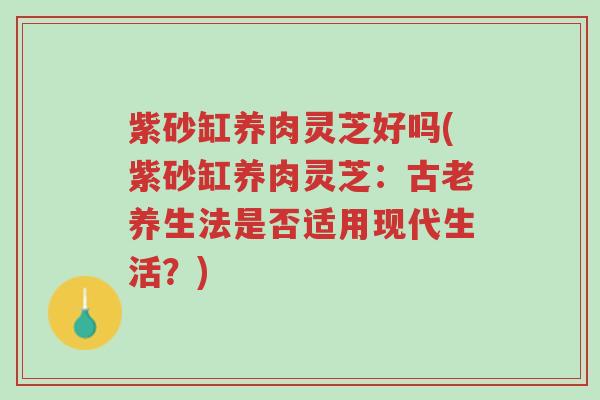 紫砂缸养肉灵芝好吗(紫砂缸养肉灵芝:古老养生法是否适用现代生活?)-第1张图片-超越 紫砂缸养肉灵芝好吗(紫砂缸养肉灵芝:古老养生法是否适用现代生活?)-第1张图片-超越