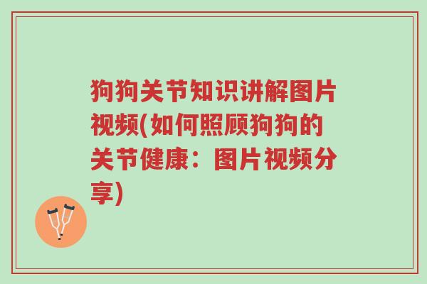 狗狗关节知识讲解图片视频(如何照顾狗狗的关节健康:图片视频分享)-第1张图片-超越 狗狗关节知识讲解图片视频(如何照顾狗狗的关节健康:图片视频分享)-第1张图片-超越