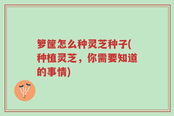 箩筐怎么种灵芝种子(种植灵芝,你需要知道的事情)-第1张图片-超越 箩筐怎么种灵芝种子(种植灵芝,你需要知道的事情)-第1张图片-超越