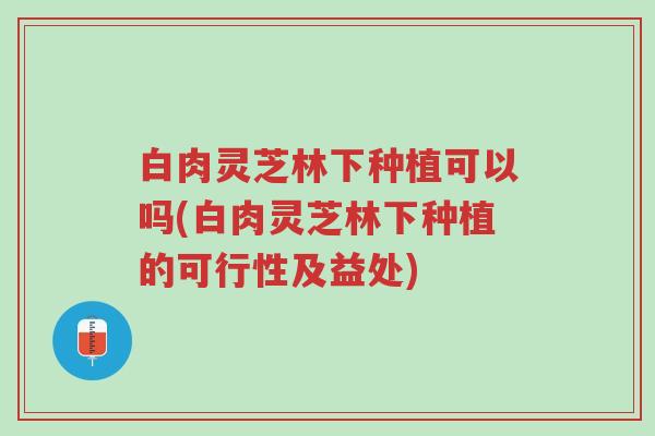白肉灵芝林下种植可以吗(白肉灵芝林下种植的可行性及益处)-第1张图片-超越 白肉灵芝林下种植可以吗(白肉灵芝林下种植的可行性及益处)-第1张图片-超越