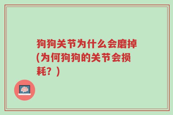 狗狗关节为什么会磨掉(为何狗狗的关节会损耗?)-第1张图片-超越 狗狗关节为什么会磨掉(为何狗狗的关节会损耗?)-第1张图片-超越