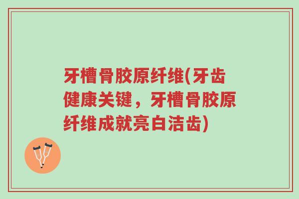 牙槽骨胶原纤维(牙齿健康关键,牙槽骨胶原纤维成就亮白洁齿)-第1张图片-超越 牙槽骨胶原纤维(牙齿健康关键,牙槽骨胶原纤维成就亮白洁齿)-第1张图片-超越