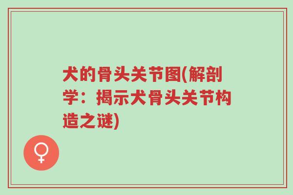 犬的骨头关节图(解剖学:揭示犬骨头关节构造之谜)-第1张图片-超越 犬的骨头关节图(解剖学:揭示犬骨头关节构造之谜)-第1张图片-超越