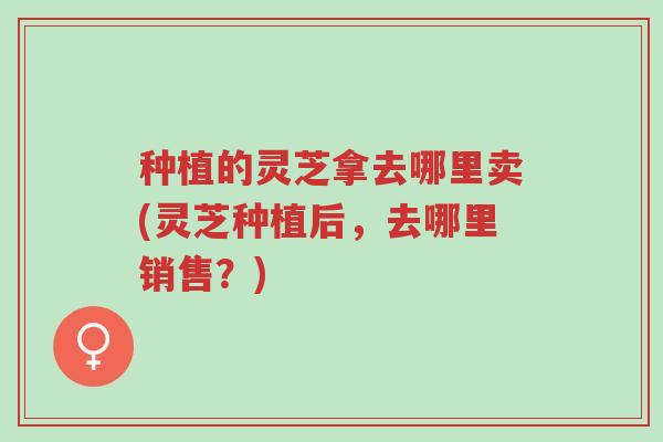 种植的灵芝拿去哪里卖(灵芝种植后,去哪里销售?)-第1张图片-超越 种植的灵芝拿去哪里卖(灵芝种植后,去哪里销售?)-第1张图片-超越