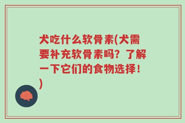 犬吃什么软骨素(犬需要补充软骨素吗?了解一下它们的食物选择!)-第1张图片-超越 犬吃什么软骨素(犬需要补充软骨素吗?了解一下它们的食物选择!)-第1张图片-超越