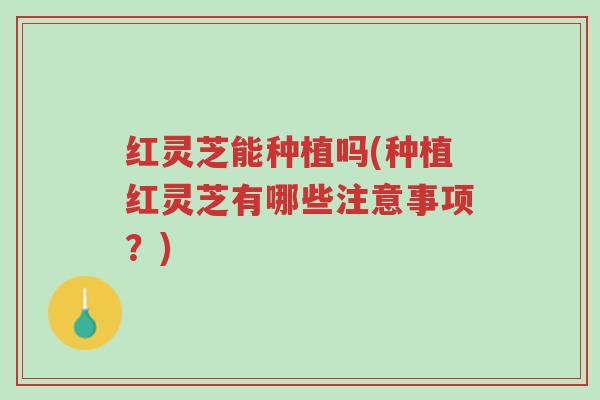 红灵芝能种植吗(种植红灵芝有哪些注意事项？)-第1张图片-超越