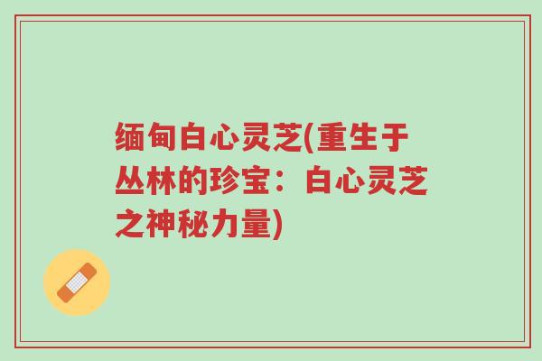 缅甸白心灵芝(重生于丛林的珍宝:白心灵芝之神秘力量)-第1张图片-超越 缅甸白心灵芝(重生于丛林的珍宝:白心灵芝之神秘力量)-第1张图片-超越