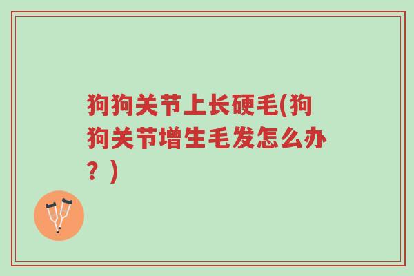 狗狗关节上长硬毛(狗狗关节增生毛发怎么办?)-第1张图片-超越 狗狗关节上长硬毛(狗狗关节增生毛发怎么办?)-第1张图片-超越