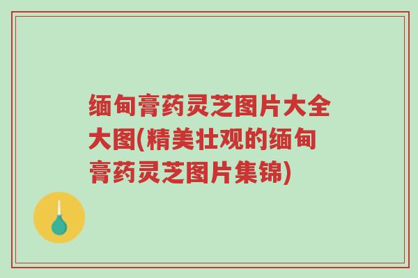 缅甸膏药灵芝图片大全大图(精美壮观的缅甸膏药灵芝图片集锦)-第1张图片-超越 缅甸膏药灵芝图片大全大图(精美壮观的缅甸膏药灵芝图片集锦)-第1张图片-超越