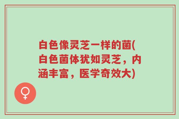 白色像灵芝一样的菌(白色菌体犹如灵芝,内涵丰富,医学奇效大)-第1张图片-超越 白色像灵芝一样的菌(白色菌体犹如灵芝,内涵丰富,医学奇效大)-第1张图片-超越