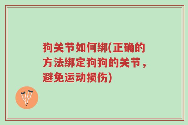狗关节如何绑(正确的方法绑定狗狗的关节,避免运动损伤)-第1张图片-超越 狗关节如何绑(正确的方法绑定狗狗的关节,避免运动损伤)-第1张图片-超越