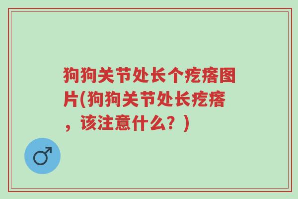 狗狗关节处长个疙瘩图片(狗狗关节处长疙瘩,该注意什么?)-第1张图片-超越 狗狗关节处长个疙瘩图片(狗狗关节处长疙瘩,该注意什么?)-第1张图片-超越