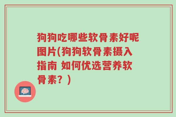 狗狗吃哪些软骨素好呢图片(狗狗软骨素摄入指南 如何优选营养软骨素?)-第1张图片-超越 狗狗吃哪些软骨素好呢图片(狗狗软骨素摄入指南 如何优选营养软骨素?)-第1张图片-超越