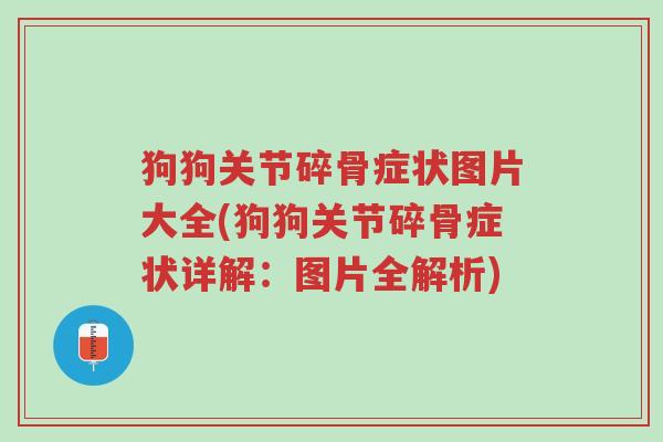 狗狗关节碎骨症状图片大全(狗狗关节碎骨症状详解:图片全解析)-第1张图片-超越 狗狗关节碎骨症状图片大全(狗狗关节碎骨症状详解:图片全解析)-第1张图片-超越