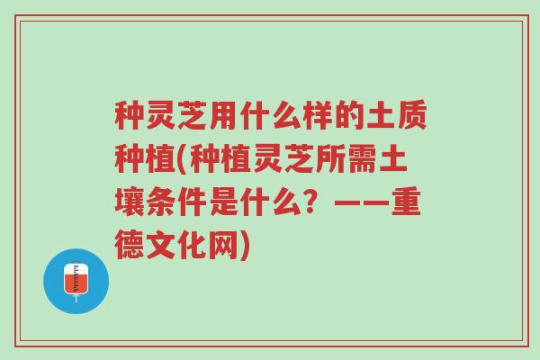 种灵芝用什么样的土质种植(种植灵芝所需土壤条件是什么?——重德文化网)-第1张图片-超越 种灵芝用什么样的土质种植(种植灵芝所需土壤条件是什么?——重德文化网)-第1张图片-超越