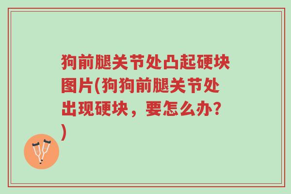 狗前腿关节处凸起硬块图片(狗狗前腿关节处出现硬块,要怎么办?)-第1张图片-超越 狗前腿关节处凸起硬块图片(狗狗前腿关节处出现硬块,要怎么办?)-第1张图片-超越