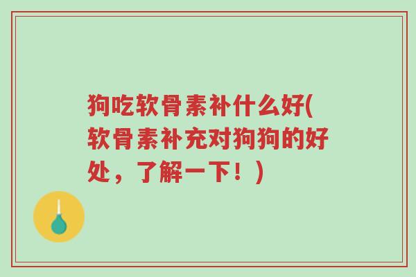 狗吃软骨素补什么好(软骨素补充对狗狗的好处，了解一下！)-第1张图片-超越