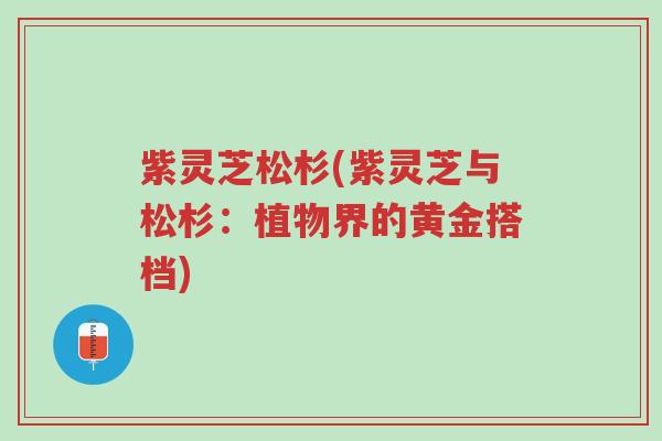紫灵芝松杉(紫灵芝与松杉:植物界的黄金搭档)-第1张图片-超越 紫灵芝松杉(紫灵芝与松杉:植物界的黄金搭档)-第1张图片-超越