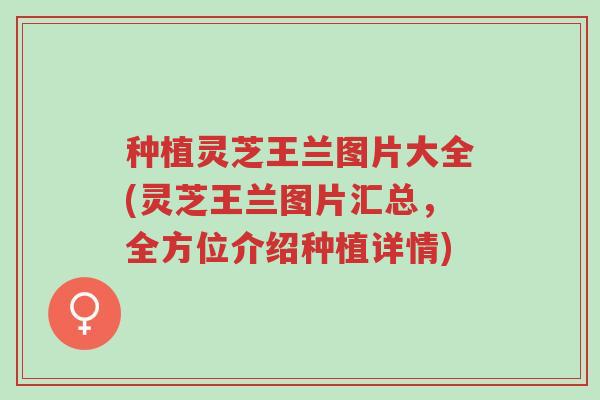 种植灵芝王兰图片大全(灵芝王兰图片汇总,全方位介绍种植详情)-第1张图片-超越 种植灵芝王兰图片大全(灵芝王兰图片汇总,全方位介绍种植详情)-第1张图片-超越