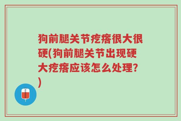 狗前腿关节疙瘩很大很硬(狗前腿关节出现硬大疙瘩应该怎么处理?)-第1张图片-超越 狗前腿关节疙瘩很大很硬(狗前腿关节出现硬大疙瘩应该怎么处理?)-第1张图片-超越